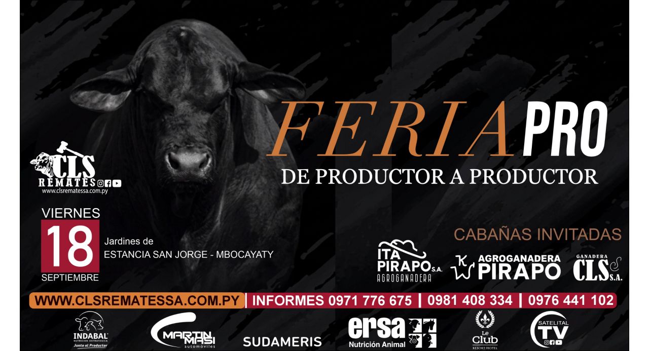 FERIA PRO