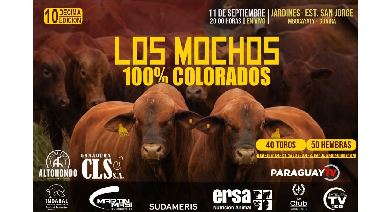 LOS MOCHOS