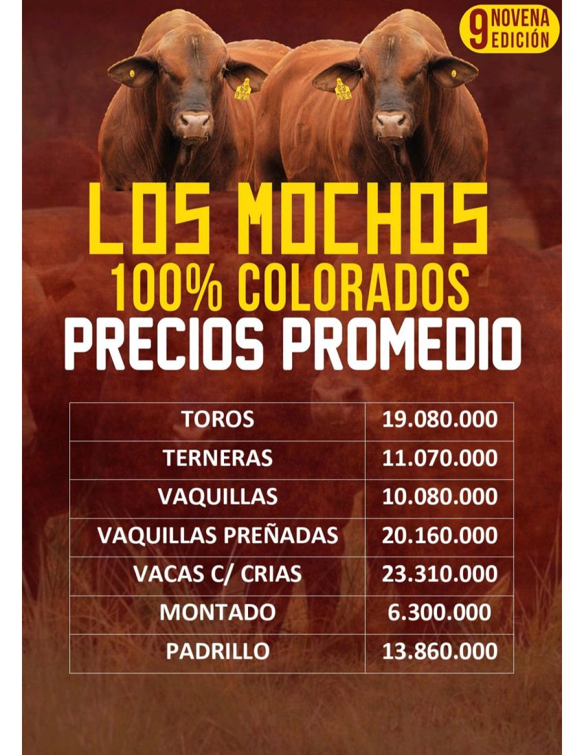 PRECIOS LOS MOCHOS 100% COLORADOS