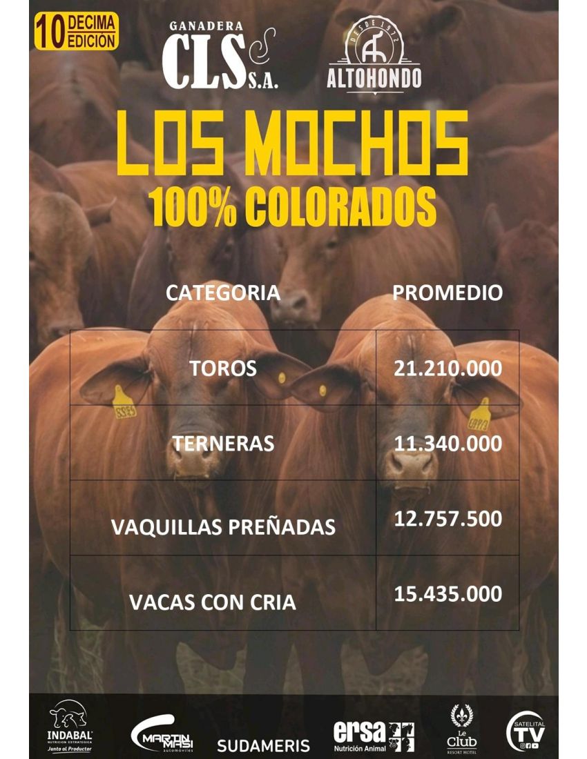 LOS MOCHOS 100% COLORADOS 11/09/2026